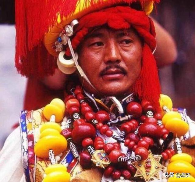 西藏首次发现亚洲胡狼:鬣狗和亚洲胡狼单挑或者群挑，谁更厉害？你怎么看？