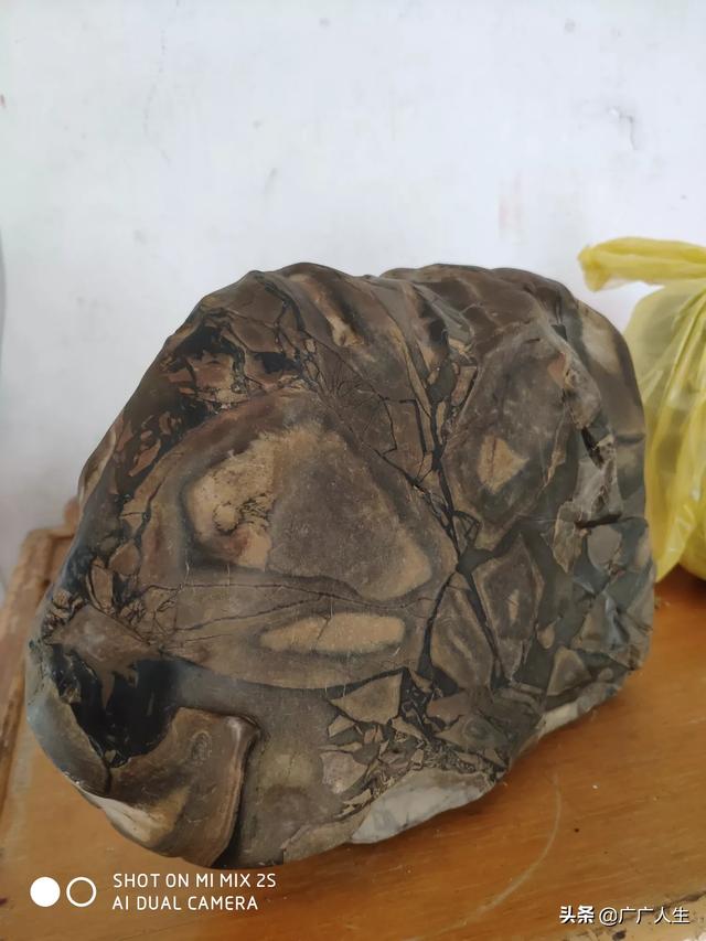 石友们玩石头的同时,以石为师,不断的丰富、修正自身,整个人气质也提升了,您赞同吗？