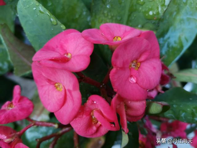 <a href=https://maguai.com/list/256-0-0.html target=_blank class=infotextkey>朋友圈</a>配图正能量:你手机里最正能量的图片是哪张？分享一下？(正能量图片女生图片)