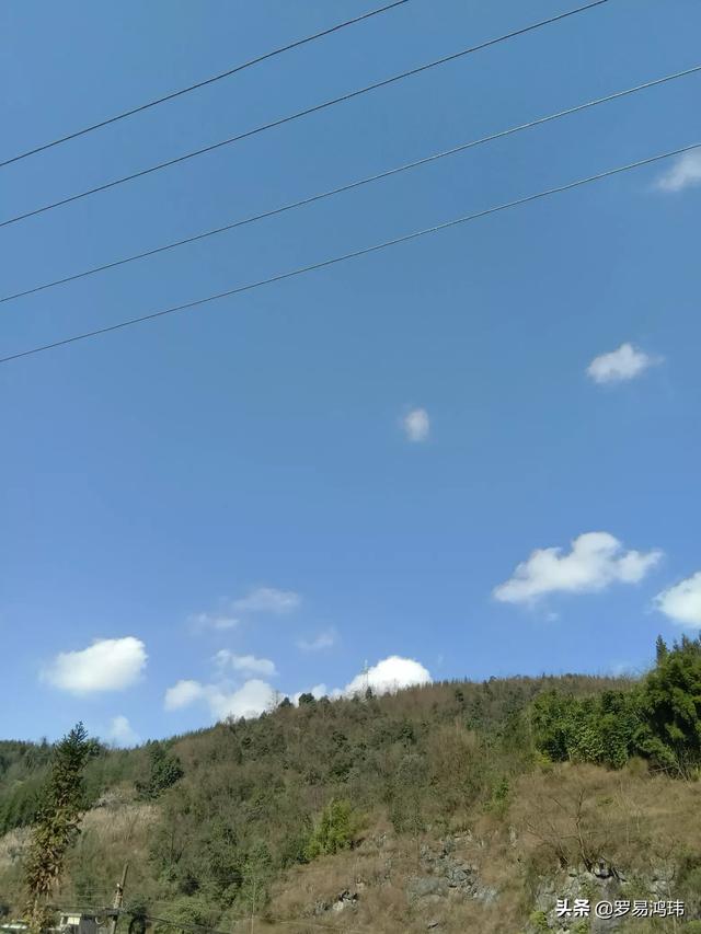 学历非常低想转行,it行业还是影视后期,建议哪个？