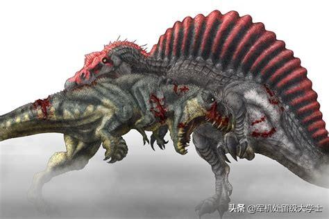 河马vs牛鲨:霸王龙和棘背龙哪个厉害？