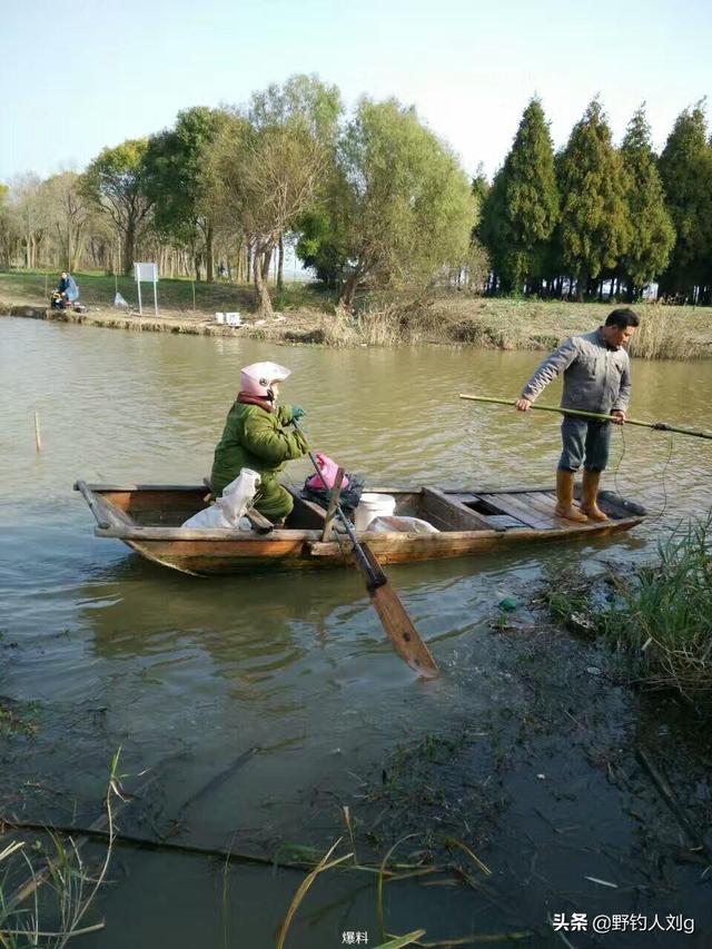 哪里能捕到斑鰶鱼:中国最好吃的鱼是什么鱼？