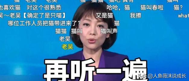 微博愤怒的猫咪:如何判断猫咪的表现是在咬你，还是在和你玩？