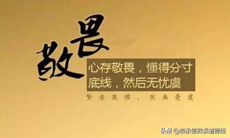 妮克威尔宠物服饰:世界顶尖的奢侈品品牌都有哪些？