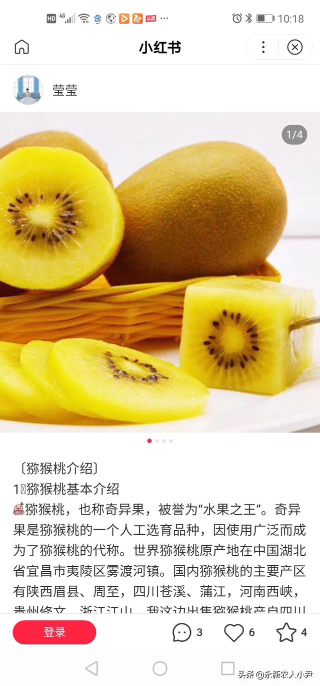 吃什么水果最补充维生素。为什么？