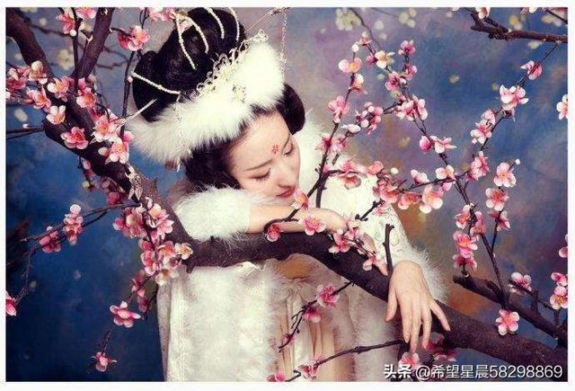唐玄宗梅妃:唐玄宗最爱的妃子是谁？梅妃真的是被杨贵妃所杀吗？