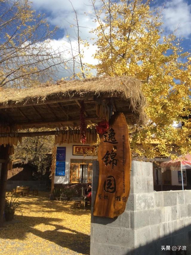杨佩婷近期情况:最近鸡蛋为什么涨价这么厉害，是疫情原因还是别的原因？