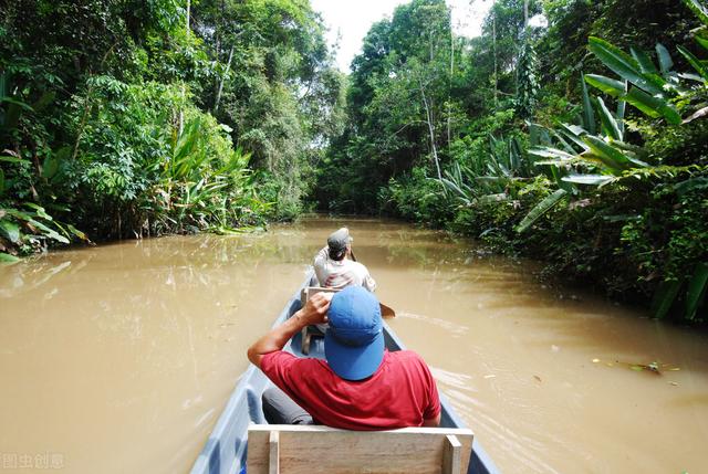 亚马逊河历险记1手机在线，亚马逊河上最恐怖的动物是什么，到底多恐怖