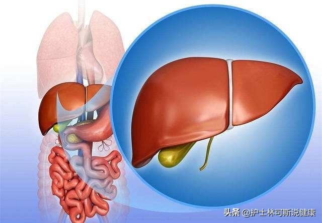 怎么判断肝硬化早中晚期？