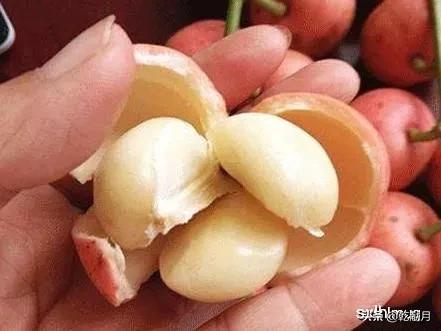 张萌萌哥 老公是谁:姐夫和哥哪个称呼听起来更亲切？