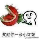 明世隐有什么可以快速上分的技巧？