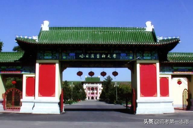 哈尔滨医科大学、西南医科大学、黑龙江中医药大学哪个更好？