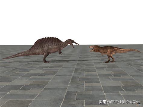 霸王龙和其他食肉恐龙,阿根延龙和霸王龙谁厉害？