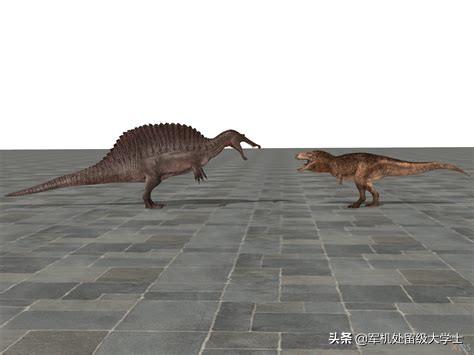 河马vs牛鲨:霸王龙和棘背龙哪个厉害？