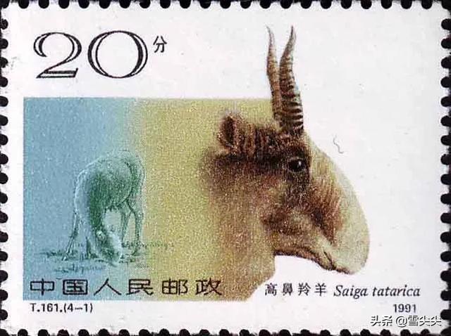 新疆现长耳跳鼠:新疆石河子市，最著名的旅游景点有哪里些？