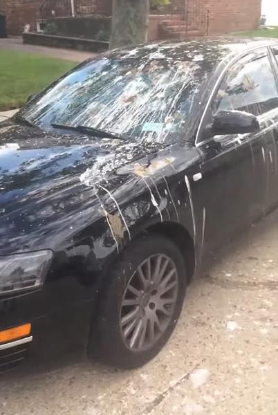 鸟屎会腐蚀车漆吗，汽车上的鸟屎痕迹如何清理干净？
