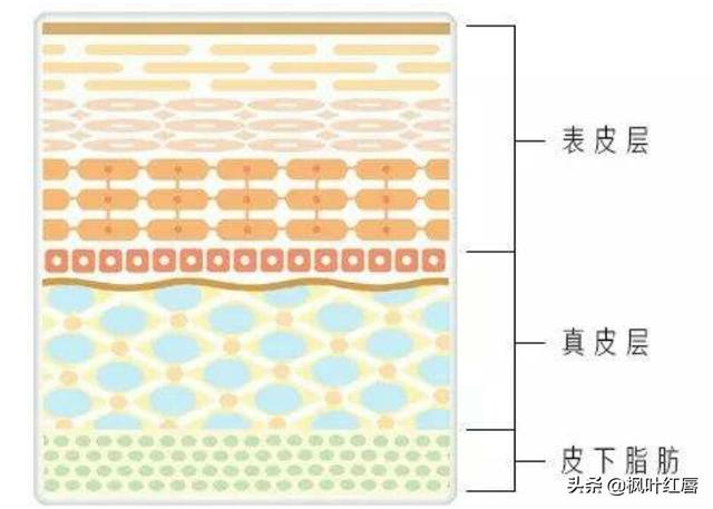 水解胶原纤脸面膜胶(水解胶原精华面膜)
