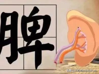 补血补气喝什么最好,吃什么补气血最快？最好不上火？