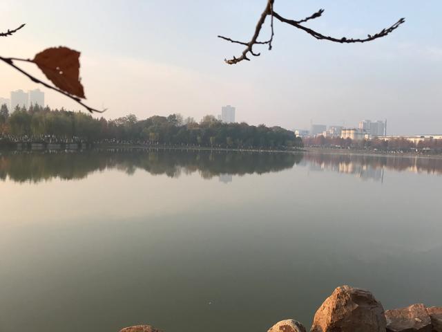 分析《死水》是如何体现新月派诗歌理论主张的？