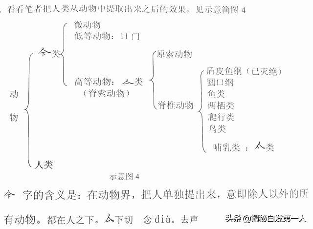 动物死亡:动物死亡简笔画 动物死亡后为什么会产生尸僵？