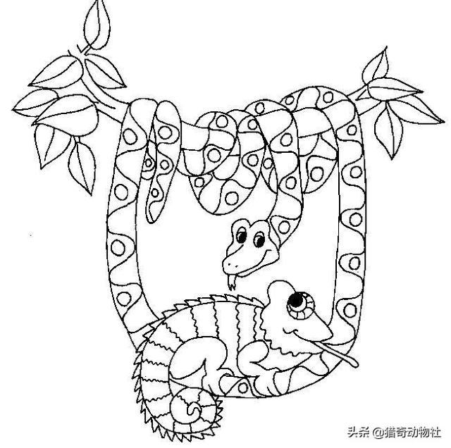 过山风 价格:“过山峰”到底有多可怕？