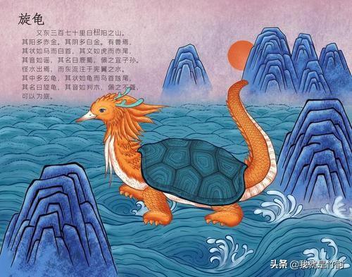 《山海经》中异兽旋龟,现在究竟还有没有？