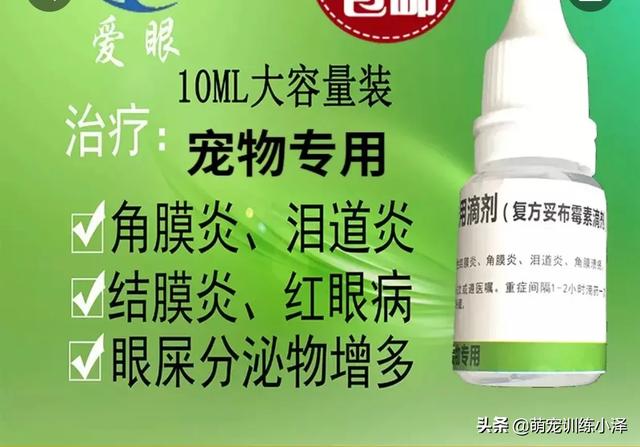可卡幼犬流眼泪:拉布拉多眼球发红流泪怎么办？
