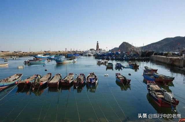 松鼠猴智商:去大连玩两天，四大人三小孩，有没有吃住玩攻略？