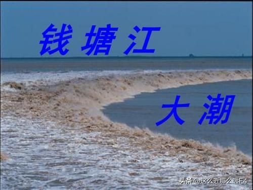 鼠王现象是怎么形成的，海水里的潮水是怎么形成的？