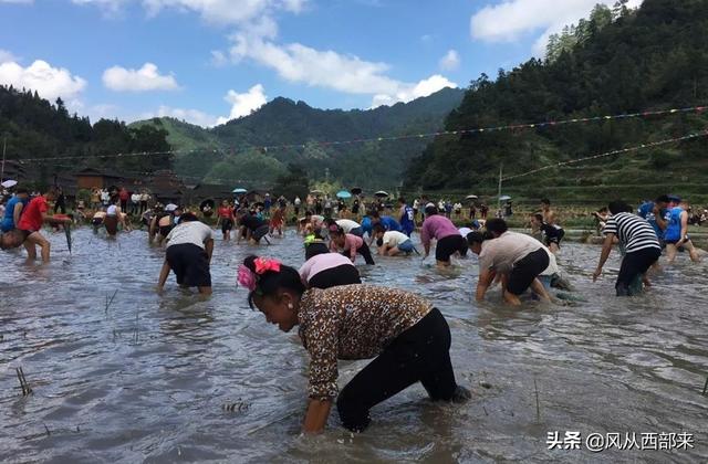 “混水摸鱼”和“水至清则无鱼”,谁是真的？