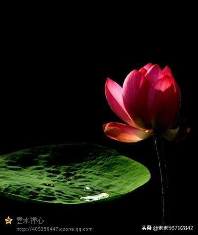 想给小宝宝取个乳名,希望是宇宙中某个星球或星系的名称,最好是特别不知名的？