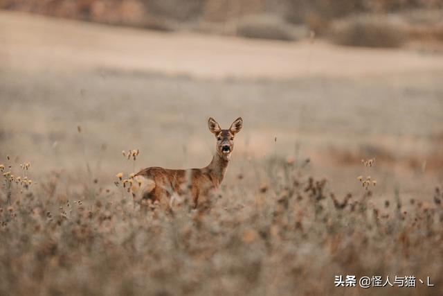 怕死恐惧症怎么缓解，怎样处理“怕死”的恐惧感？