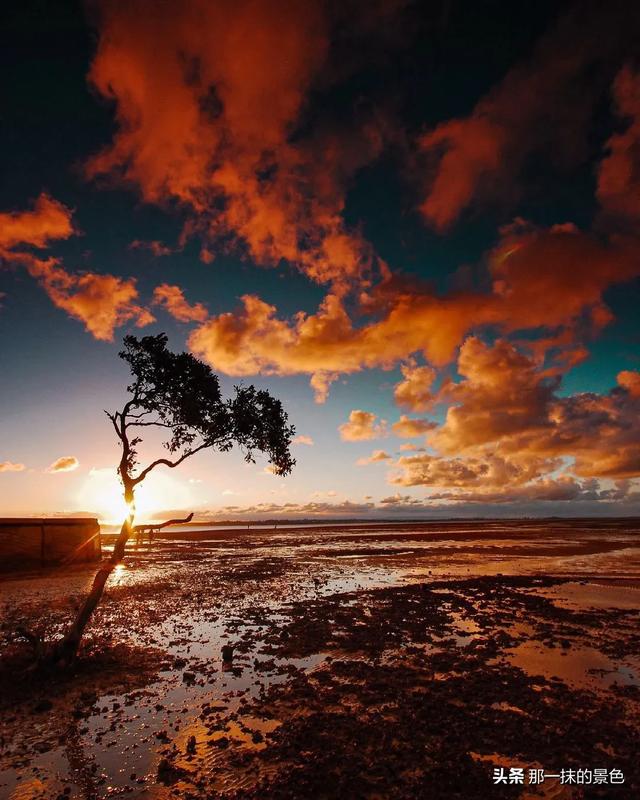 头条问答 - 逆光下的夕阳照怎么拍?(65个回答)