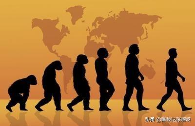 人类起源:讲述人类起源的电影有哪些推荐