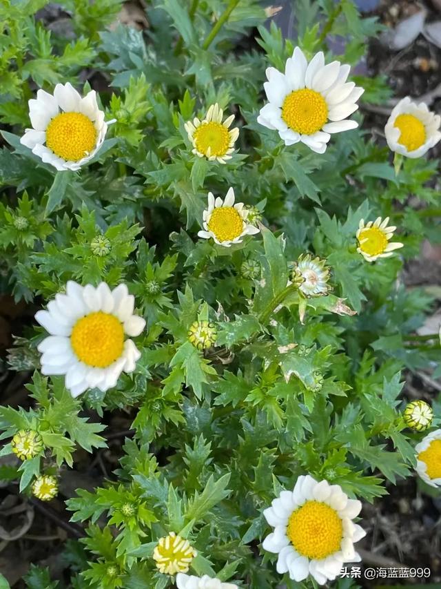 老年人在银行存款，是存定期一年的好，还是存定期三年以上的好？插图36