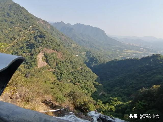 乌梢蛇图片有没有毒:黑乌梢蛇图片 蛇没有爪子，如何打洞？什么情况？