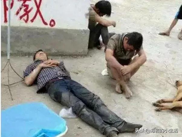 小小熊犬业:如何看待农村“偷狗人士”？