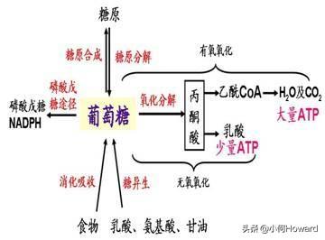 单杠运动,双手悬垂2分钟是什么水平？