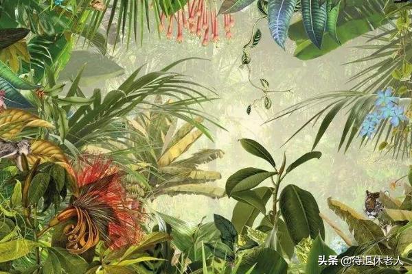 巨松鼠:热带雨林有什么对人有害的动植物？