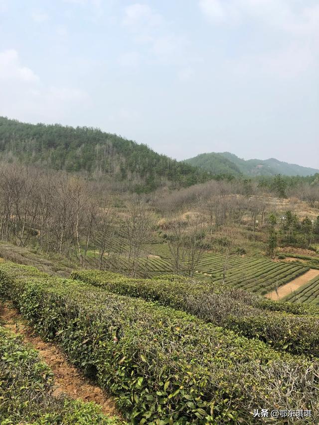 英山旅游景点,武汉至英山沿途有什么风景区玩？