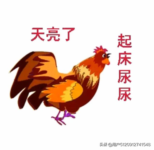 你每天为什么起这么早