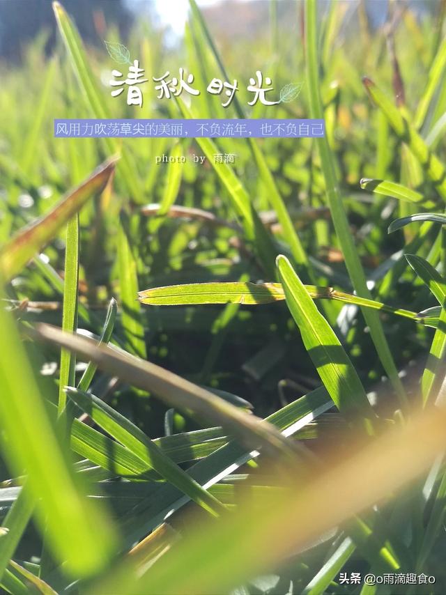 我的华为用了两年卡的不行了，想问用华为的手机最长用几年？插图7