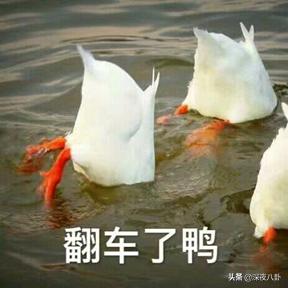 汪涵被声讨:如何看待近年来明星代言屡屡翻车