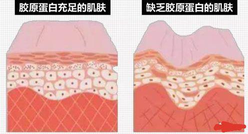 薏米绿豆粥(薏米绿豆粥功效)