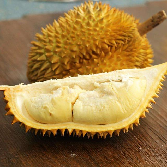 伊纳宝:为什么榴莲树的承重能力那么强？