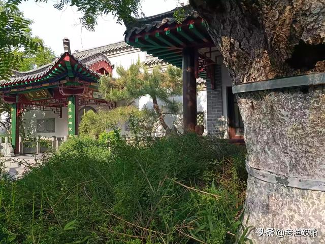 回到现代:在动画中，犬夜叉多次回到现代日本，难道街上没有摄像头吗？