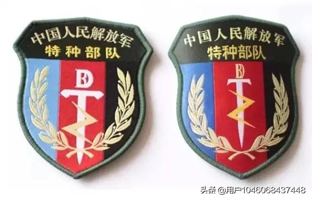 武警、特警和特种部队有什么区别？什么情况出动武警、特警和特种部队？插图49