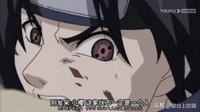 监考猫:中忍考试期间春野樱是最弱的吗？