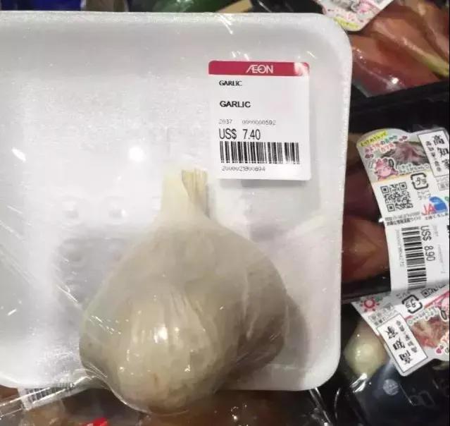 灰头鹀窝图片:有什么事是你去了柬埔寨才知道的？