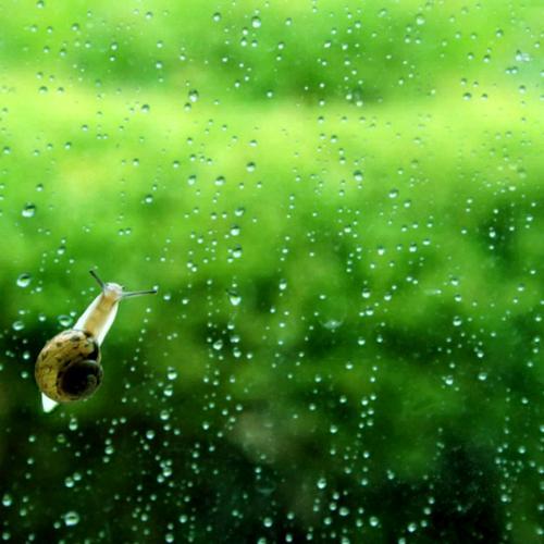 雨付梦妮:除了《不负骤雨》、《时间煮雨》之外有哪些可推荐的关于雨的歌？